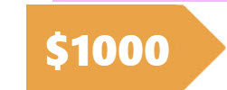 1000 ICON