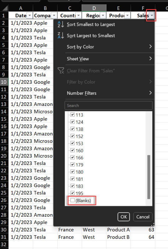 excel_data_cleaning_filter