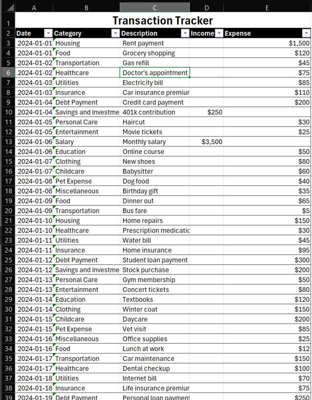 excel_budget_Tracker_transaction_data