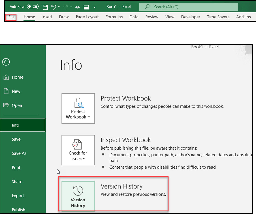 how to check version history in excel